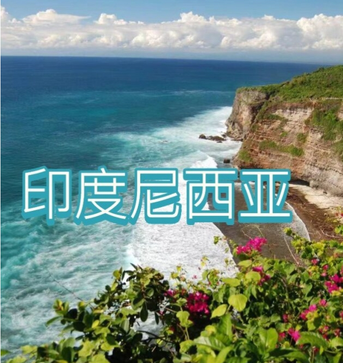 际电商(印尼)产业博览会电子pg2025中国国(图1)