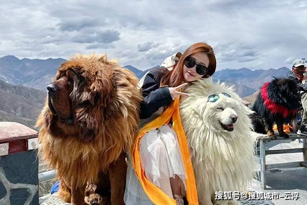 ？揭晓西藏当地旅行社口碑好的几家pg电子中国西藏自己去还是参团好(图3)