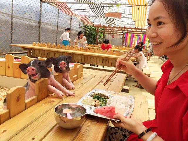 孩子们的乐园他要做万千孩子的「田妈妈」pg模拟器试玩把30多个城郊农场爆改成(图5)