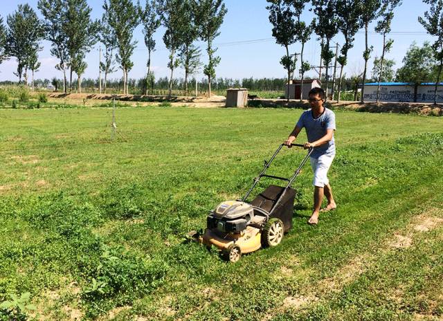 孩子们的乐园他要做万千孩子的「田妈妈」pg模拟器试玩把30多个城郊农场爆改成(图6)